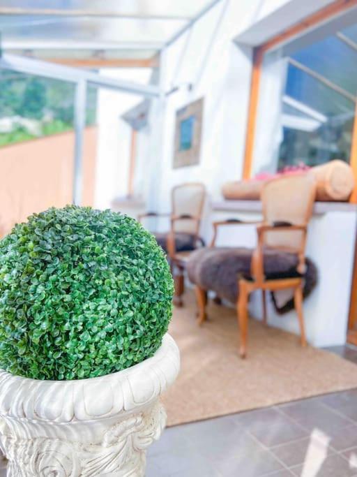 Tipica Casa Andorrana En Encamp L By Bonesvacances Exterior foto